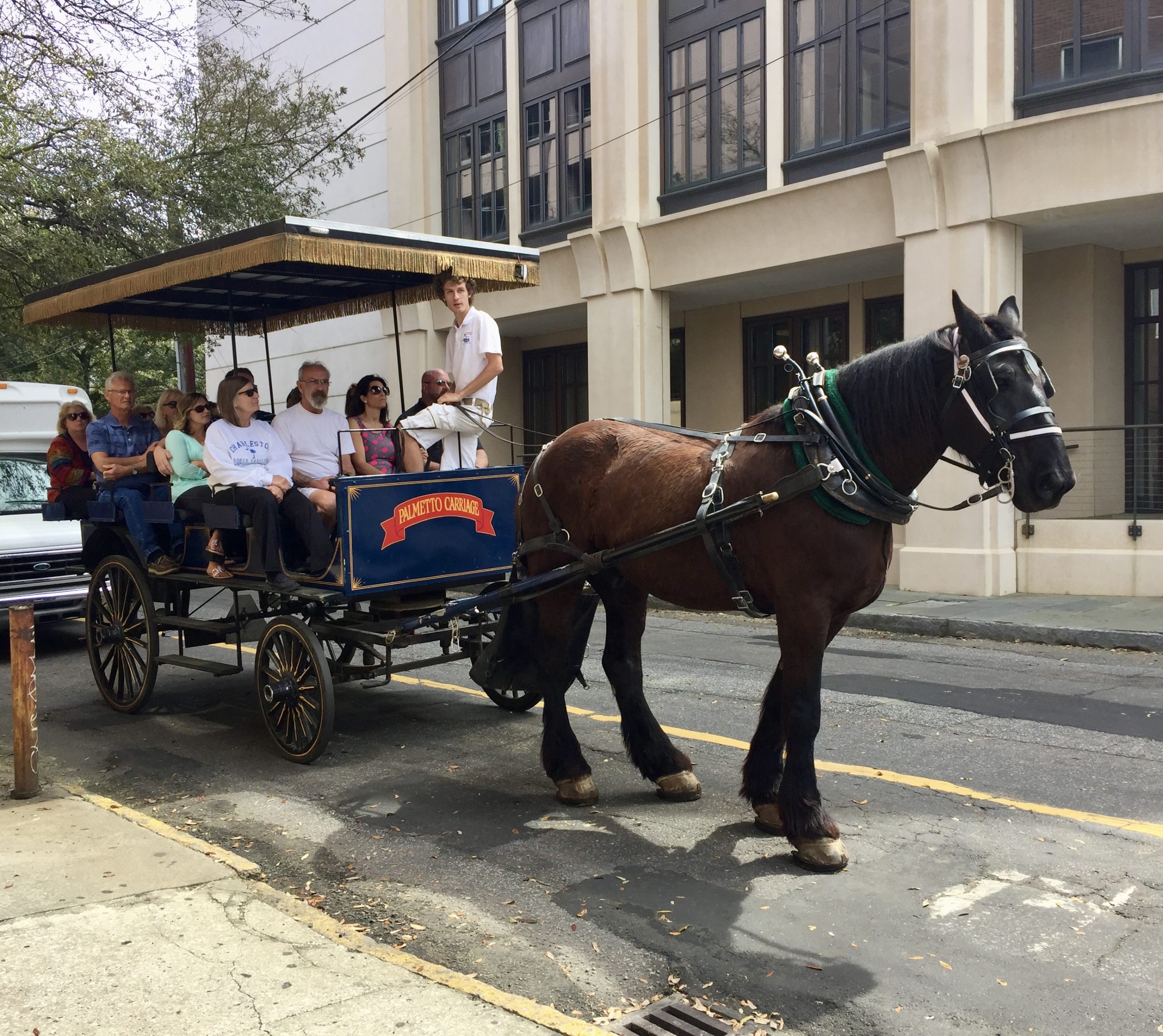 horse drawn carriage